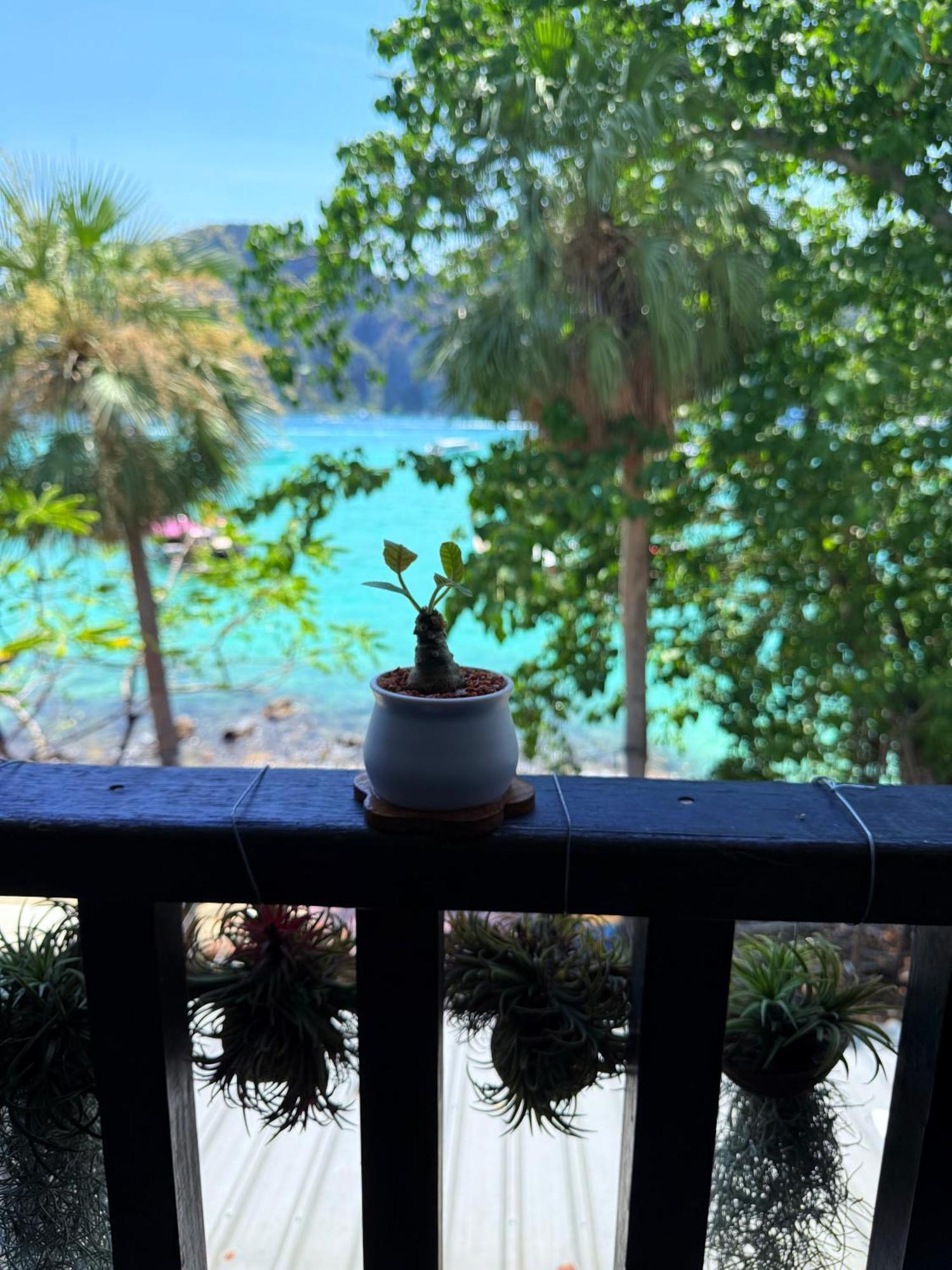 Mild Room Sea View Room For Rent ピピ島 エクステリア 写真